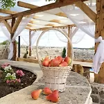Juniper Stone By Guide *
